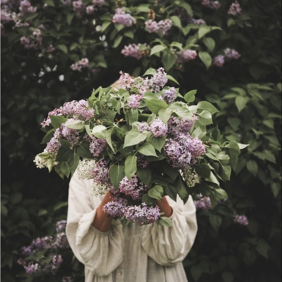 🎀As described - Picture 1 of 1